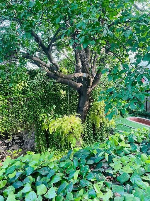 Apartment Modern Comfort - Spacious 2Br In Walled City Cartagena Colombia